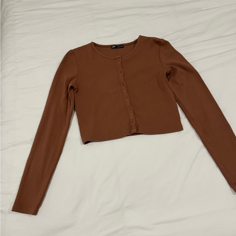 Zara Brown Long Sleeve Crop Top